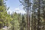 161 Little Donner Drive - Photo 6