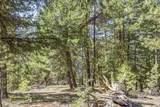 161 Little Donner Drive - Photo 8