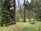 L18 Silver Cloud Drive - Photo 1