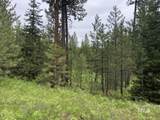 L18 Silver Cloud Drive - Photo 3