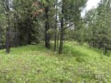 L18 Silver Cloud Drive - Photo 4