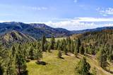 TBD Chapman Lane (116.72Ac) - Photo 14