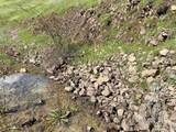 TBD Hidden Canyon Road - Photo 11