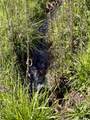 TBD Hidden Canyon Road - Photo 4