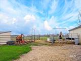 9228 Washoe Rd - Photo 40