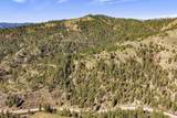 TBD Chapman Lane (116.72Ac) - Photo 39