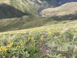 Lot 9 Salmon River Canyon Estates - Photo 15