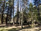 1792 Canary Trail - Photo 10