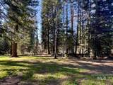 1792 Canary Trail - Photo 2