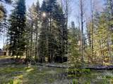 1792 Canary Trail - Photo 6