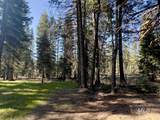 1792 Canary Trail - Photo 7