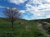 17.9ac Tbd Mathews Rd - Photo 28