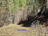 4012 Highway 11 - Photo 8