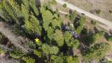 30 Burnt Wagon Trail - Photo 4
