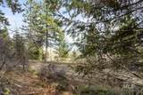 30 Burnt Wagon Trail - Photo 6