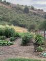 27474 Tom Beall Road - Photo 27