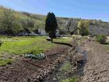 27474 Tom Beall Road - Photo 8