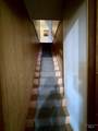 601 Maple St - Photo 11