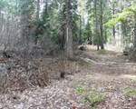 573 West Mountain Road - Photo 5