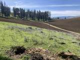 TBD Rangeline Drive - Photo 10