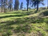 TBD Rangeline Drive - Photo 2
