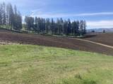TBD Rangeline Drive - Photo 5