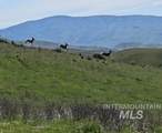 11315 Timber Butte Rd - Photo 19