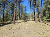 23088 Deer Creek Road - Photo 13