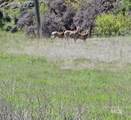 TBD Liberty Rd - Photo 23