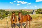 2208 Keithley Creek Rd - Photo 34