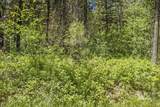 513 Susan Road - Photo 3