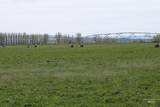 0 Graham Blvd - Photo 10