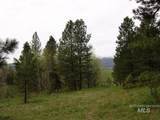 10848 Callender Road - Photo 5