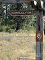 13 Fawnlilly - Photo 5