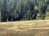 13 Fawnlilly - Photo 8