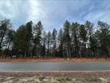 13039 Dawn Drive - Photo 3