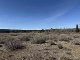 TBD Lot 40 Rawhide Loop - Photo 6