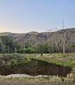 13761 Asotin Creek Road - Photo 16