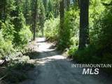10 Crocus Ct. - Photo 12
