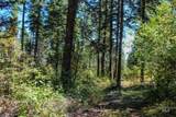 1204 Porcupine Road - Photo 3