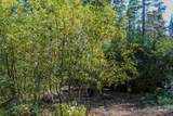 1204 Porcupine Road - Photo 6