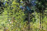 1204 Porcupine Road - Photo 7