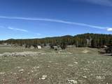 TBD Pine Lakes Ranch Drive - Photo 8