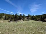 TBD Pine Lakes Ranch Drive - Photo 9