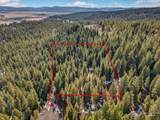 Lot 19 Little Salmon Road - Photo 1