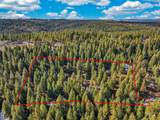 Lot 19 Little Salmon Road - Photo 3