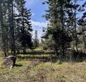 TBD Harris Ridge Rd - Photo 10