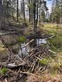 TBD Harris Ridge Rd - Photo 4