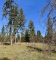 TBD Harris Ridge Rd - Photo 8