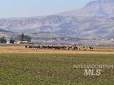 3825 Jake Lane - Photo 2